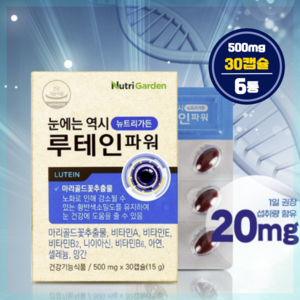 LUTEIN 루테인 파워 마리골드꽃추출물 비타민, 60정, 6개