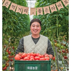 [최상품] 완숙찰토마토 2.5kg 농장직송!, 정품중과5KG, 1개