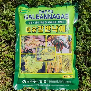 농작물 갈색무늬병 점무늬낙엽병 예방 회복 치료제 갈반낙애 500g, 1개