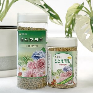 오스모코트 네덜란드 알비료, 1개, 250g