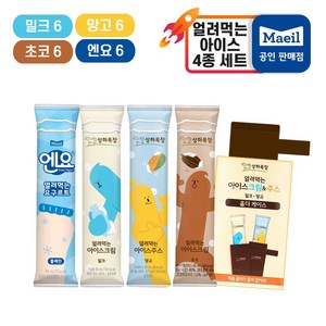 매일유업 얼려먹는 아이스크림 (밀크6+초코6+망고6+엔요6)+홀더, 85ml