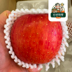 [산지직송] 선물용으로 적합한 경북 정품 부사 재주문 높아요, 1개, 5kg 중대사이즈