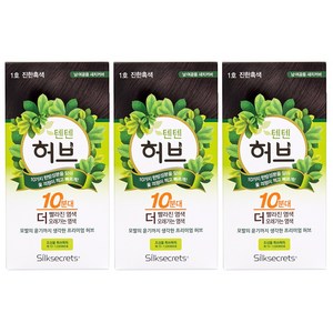옻안타는 텐텐 허브 천연 한방 염색약 /빠른허브/허브스피디/창포, 1호 진한흑색, 3개