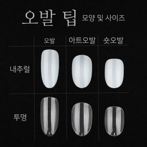 네일 리필 팁 (50입) / 오발 오벌 아트오발 숏오발 패디 인조 손톱, 아트오발 투명 5호, 1개