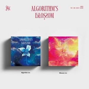 [케이크뮤직] QWER 앨범 (큐더블유이알) - 2nd Mini ALBUM (Algorithms Blossom), Blossom ver. (레드)