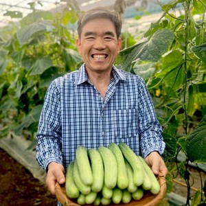 GAP인증 땅에서 자란 학교 급식 용 수분가득 싱싱한 백다다기 오이 백오이, 1박스, 백다다기오이 1.8kg(10개내외)