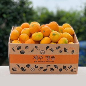 제주 귤 감귤 조생귤 2kg/3kg/4.5kg/9kg, 1박스, 중대과(L-2L) 9kg