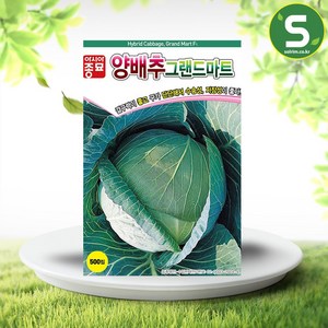 솔림텃밭몰 양배추씨앗 500립 그랜드마트 중조생 내병성 배추씨앗, 1개