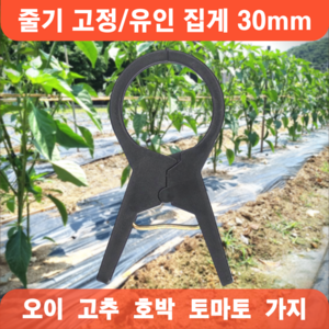 농사용 작물 집게 30mm 오이집게 고추 호박 가지 유인 비닐하우스 5호, 50개