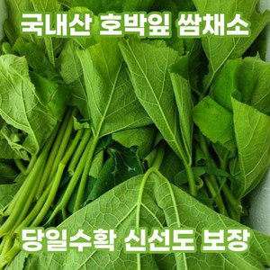 당일수확 노지에서 자란 햇 호박잎 400g 800g 국내산 부드러운 쌈채소 제철 쌈 토종 호박잎나물 생호박잎 조선 호박쌈 여린 연꽃잎, 500g, 1개