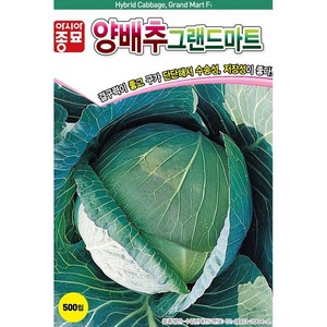 솔림텃밭몰 양배추씨앗 500립 그랜드마트 중조생 내병성 배추씨앗, 1개