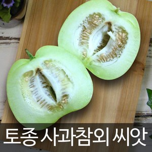 사과참외 씨앗 채소씨앗 애플 참외 종자 토종 10알, 1개