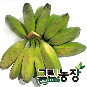 그린 사바 바나나(geen saba banana) 그린농장, 3kg, 1개