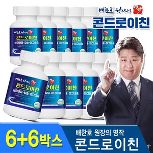 [ 건강 프로젝트 ] 칼슘 마그네슘 올인원 콘드로이친 미국산 상어연골 배한호 원장의 명작 관절명작 콘드로이친, 약 열두달분량, 12개, 60정