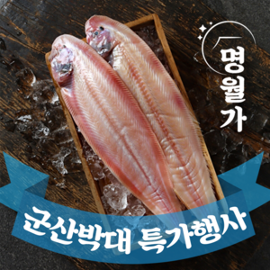 [특가행사] 반건조 군산 박대 서대 말린 생선 구이용 조림용 진공포장, [왕특대] 33~35cm 5마리, 1박스