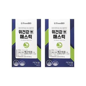 프롬바이오 위건강엔 매스틱 3g x 15포 x 2통_GA, 45g, 2개