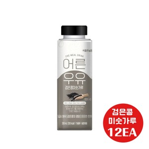 서울에프엔비 어른우유 검은콩미숫가루 250ml 12개입/든든한 한끼, 12개