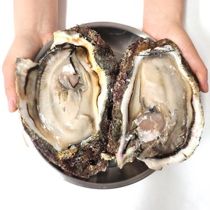[엠디] 남해 거제도 해녀가 수심 깊은곳 채취한 100% 자연산 바위굴(벚굴) 3 5 10kg 셀, 1박스, 3kg