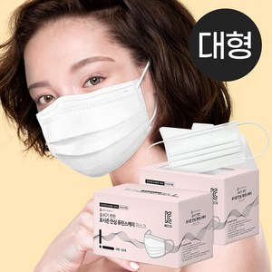 국산 덴탈 포시즌 안심 퓨린스케이 50 벌크 마스크, KC인증 포시즌_화이트_대형_벌크, 1개, 50매입