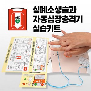 [스쿨데이24] 응급상황 페이퍼 실습키트 심폐소생술과 자동심장충격기, 1개
