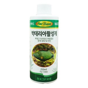 국제프리츠 원터치 박테리아 활성제, 250ml, 1개