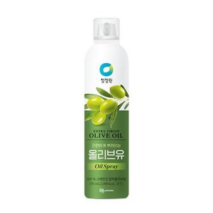 청정원 올리브유 스프레이, 250ml, 2개