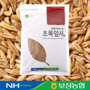 보성농협 국산 귀리 1kg 2024년산, 1개