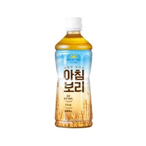 남양유업 아침보리 차음료, 340ml, 20개