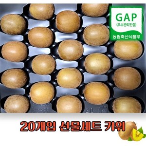 골드키위 레드키위 선물세트, 1박스, 골드키위 2.1kg(개당 105g 내외)