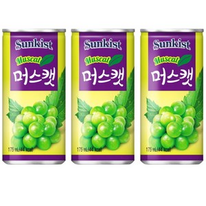 해태음료 썬키스트 머스캣, 175ml, 30개