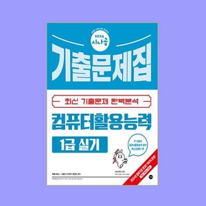 2024 시나공 컴퓨터활용능력 1급 실기 기출문제집, 길벗