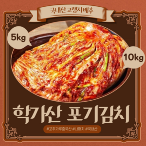 l 품담식품관 l 안동 학가산 정품 포기김치 (일반) 당일발송 l 아이스박스포함, 5kg, 2개, 아이스박스x포기김치