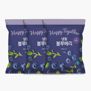 생활앤 미국산 냉동 블루베리 1kg x 3팩, 3개