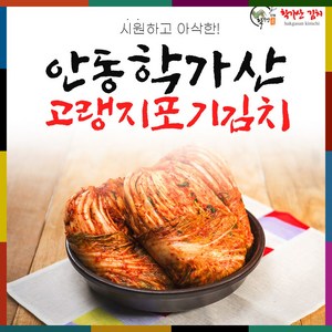 안동학가산 모든재료 국내산 배추 포기김치 4kg 아이스박스포장, 1개