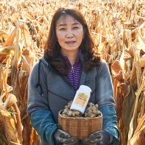 무농약 국내산 순수 강황가루, 1개, 150g