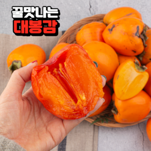 (제철산지직송)고품질 고당도 햇대봉감 홍시 대봉시, 대과 5kg, 1개