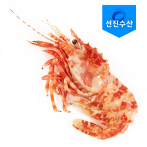 자연산 특 A급 닭새우 러시아 자숙닭새우 (1kg), 1kg, 3박스