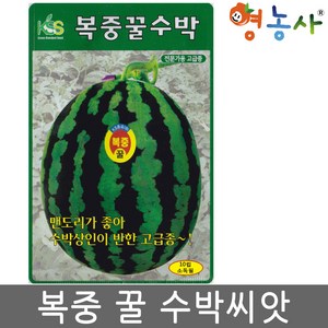 복중꿀 수박 씨앗 10립 고급종 대과 수박씨 종자 키우기 영농사, 8. 복중꿀수박   10립, 1개