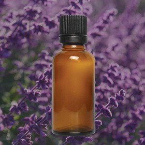 에센셜오일 라벤더 Lavende E.O, [ 100ml ]