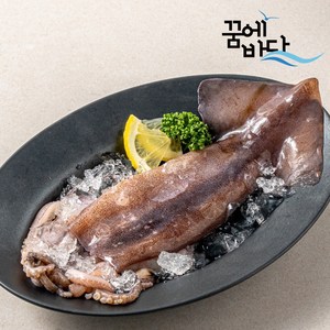 꿈에바다 구룡포 냉동 손질 통오징어 175g x 2미/ 1팩(350g) (중), 10세트