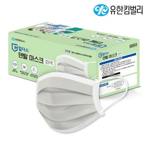 유한킴벌리 힐더스 덴탈마스크 회색 50매 대형 국산 의약외품, 50개입, 1개, 그레이