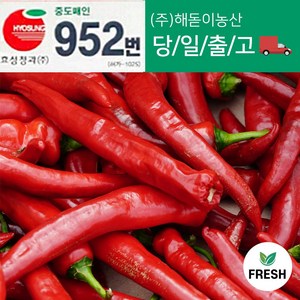 <해돋이농산> 국내산 햇홍고추 빨간고추 붉은고추 상품 특품 5kg 1박스 (10kg내외), 10kg 상품(못난이), 1개