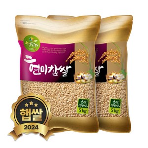 현대농산 국산 현미찹쌀 찰현미 10kg (5kgX2봉), 5kg, 2개