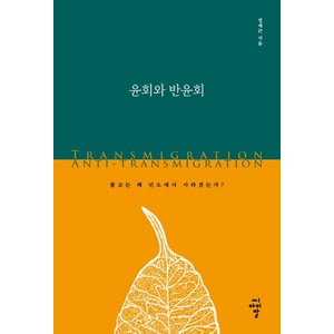 윤회와 반윤회:불교는 왜 인도에서 사라졌는가?, 씨아이알