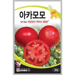 [모종심는아빠] 맛좋고 저장성이 뛰어난 토마토 아카모모 종자 30립, 1개