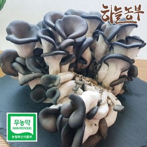 하늘농부 친환경 느타리 버섯 300g, 1개