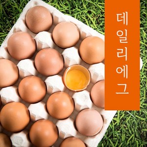 신선한 무항생제 특란, 20구, 1개