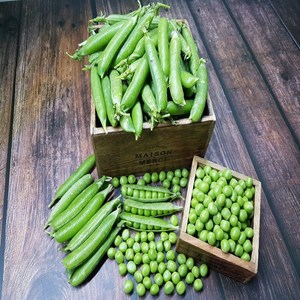 [산지농가직송]충남서산 완두콩 햇 완두콩4kg, 1개, 4kg
