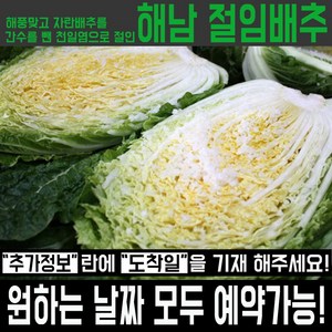 세상모든농부 해풍맞은 해남 절임배추 산지직송 김장 절인배추 20kg, 1_원하는 도착일을 배송메세지에 적어주세요., 1개