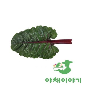 적근대 300g, 1개